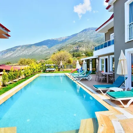 Trend Villa